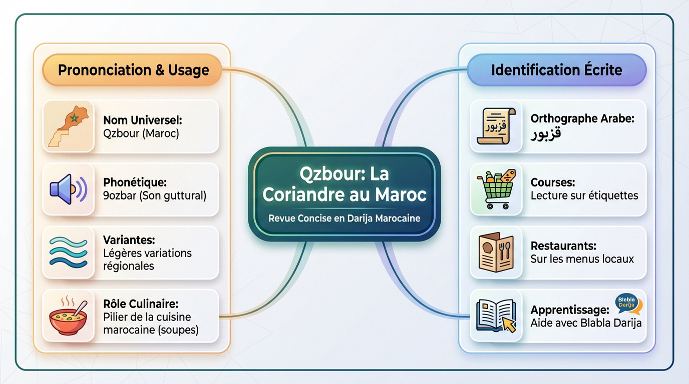 Infographie expliquant le terme qzbour pour la coriandre en arabe marocain