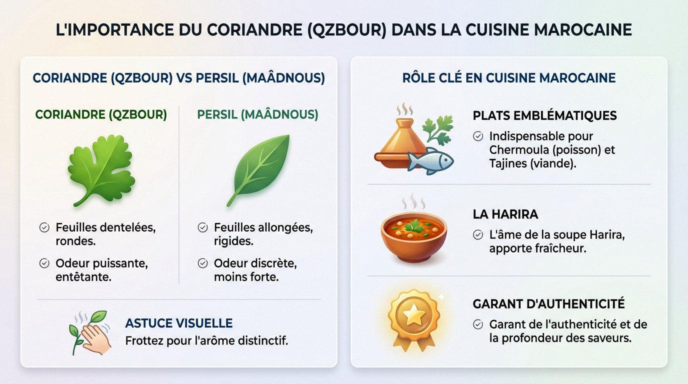 Coriandre en arabe marocain le guide du qzbour 2026 — free download