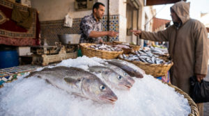 Cabillaud en arabe marocain | Guide et alternatives 2026