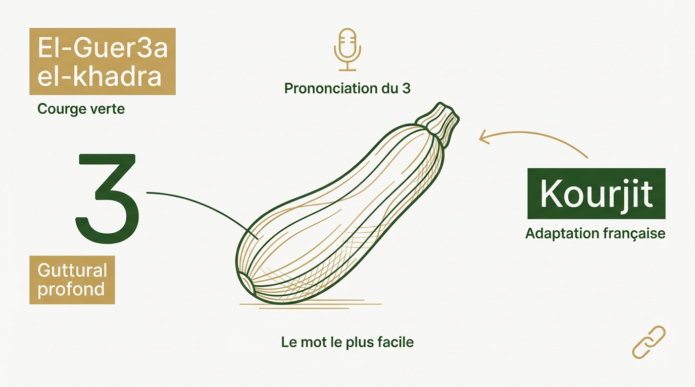 Apprendre la prononciation du chiffre 3 en darija avec le mot courgette