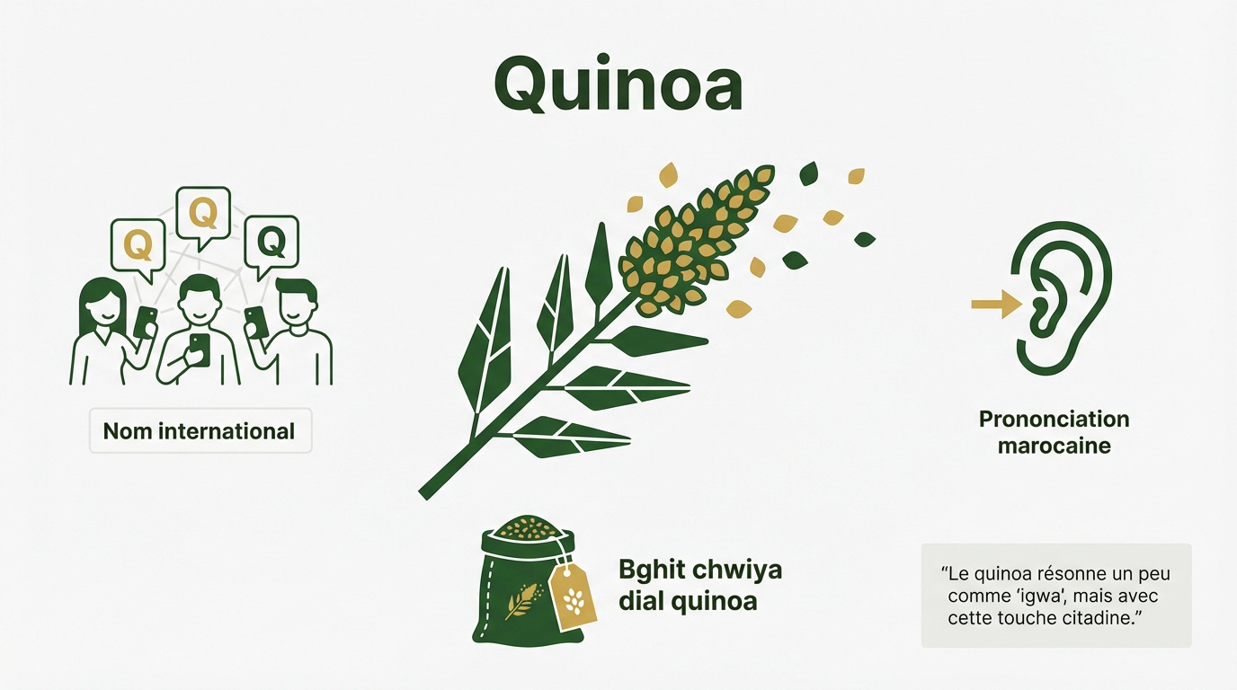 Sachet de quinoa présenté dans une cuisine moderne au Maroc