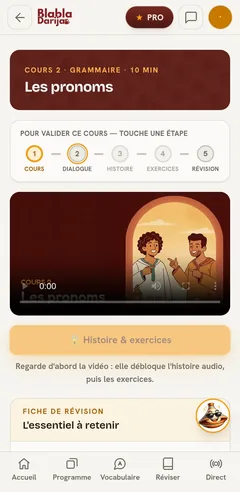 Un cours en vid&eacute;o sur t&eacute;l&eacute;phone